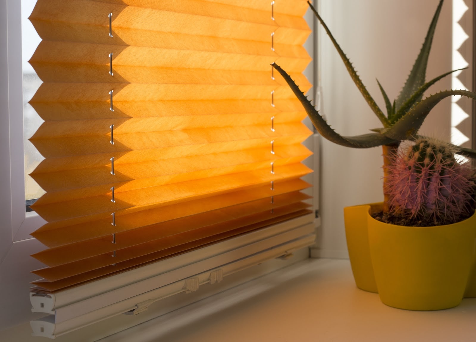 Honey Comb Blinds