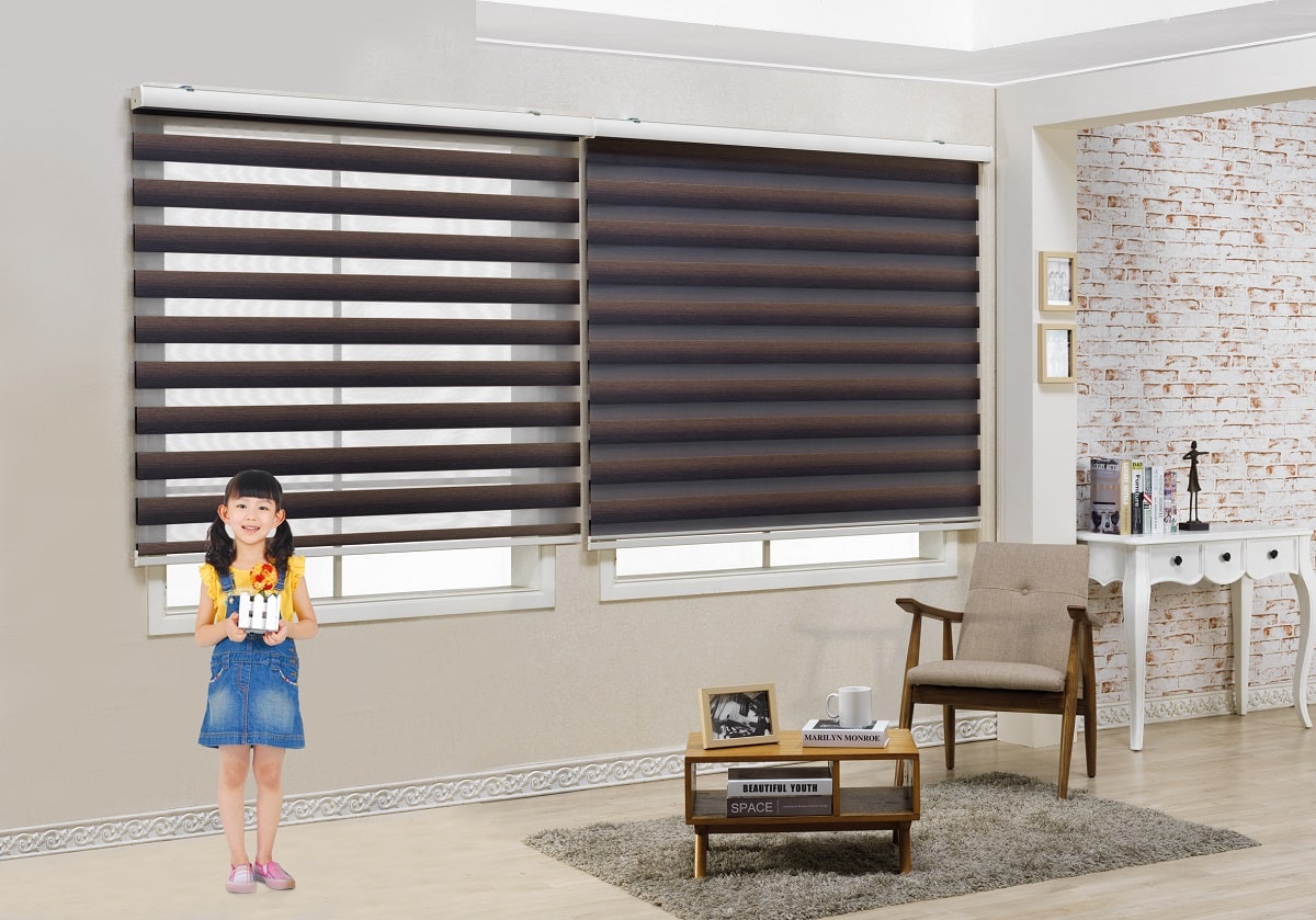 Zebra Blinds