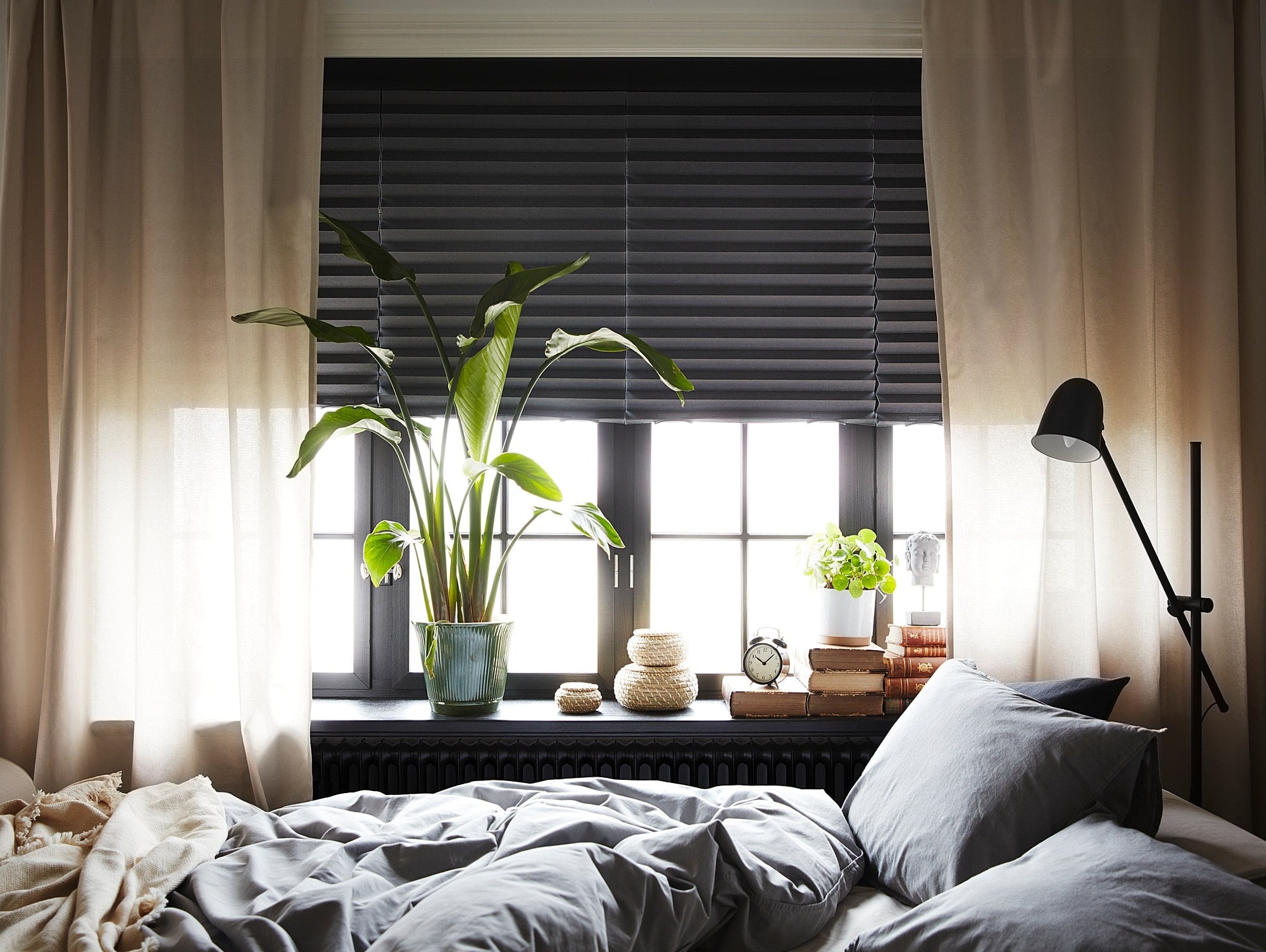 Honey Comb Blinds